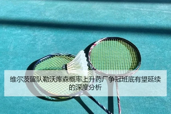 维尔茨留队勒沃库森概率上升药厂争冠班底有望延续的深度分析