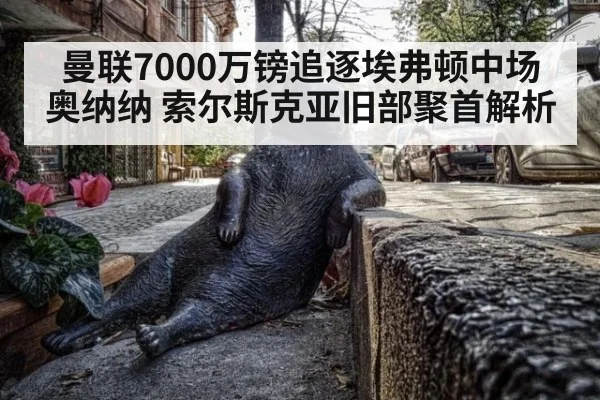 曼联7000万镑追逐埃弗顿中场奥纳纳 索尔斯克亚旧部聚首解析